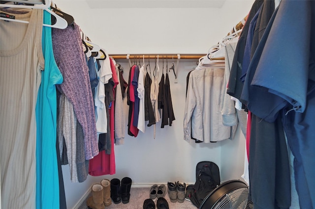 view of walk in closet