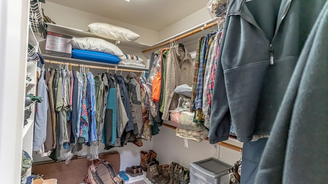 view of walk in closet