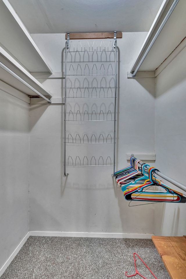 walk in closet with carpet floors