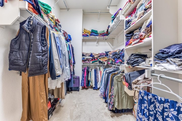 walk in closet featuring carpet