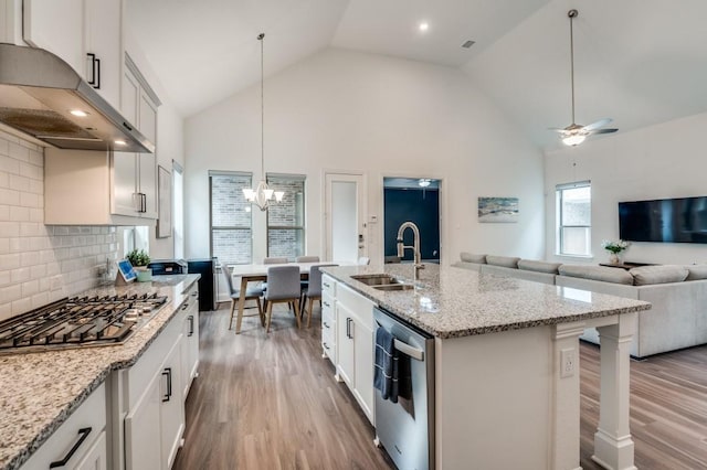 kitchen with a sink, stainless steel appliances, under cabinet range hood, wood finished floors, and high vaulted ceiling