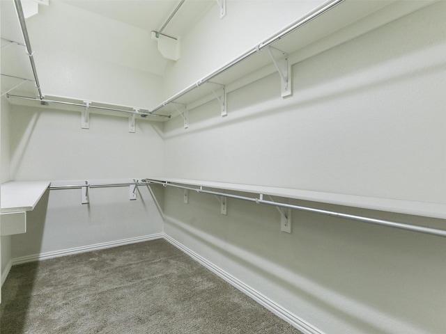 walk in closet with dark carpet
