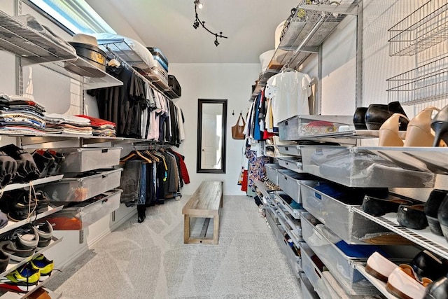 spacious closet featuring carpet floors
