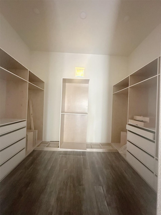 spacious closet with wood finished floors