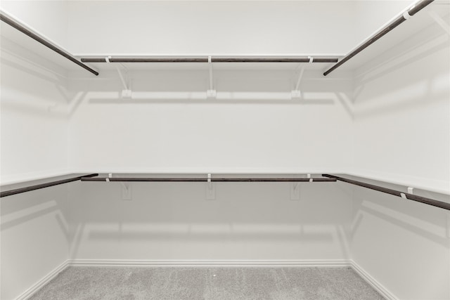 921 Janwood, Plano, TX 75075 - walk in closet featuring carpet flooring