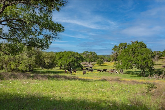 771 County Road 2130, Meridian, TX 76665