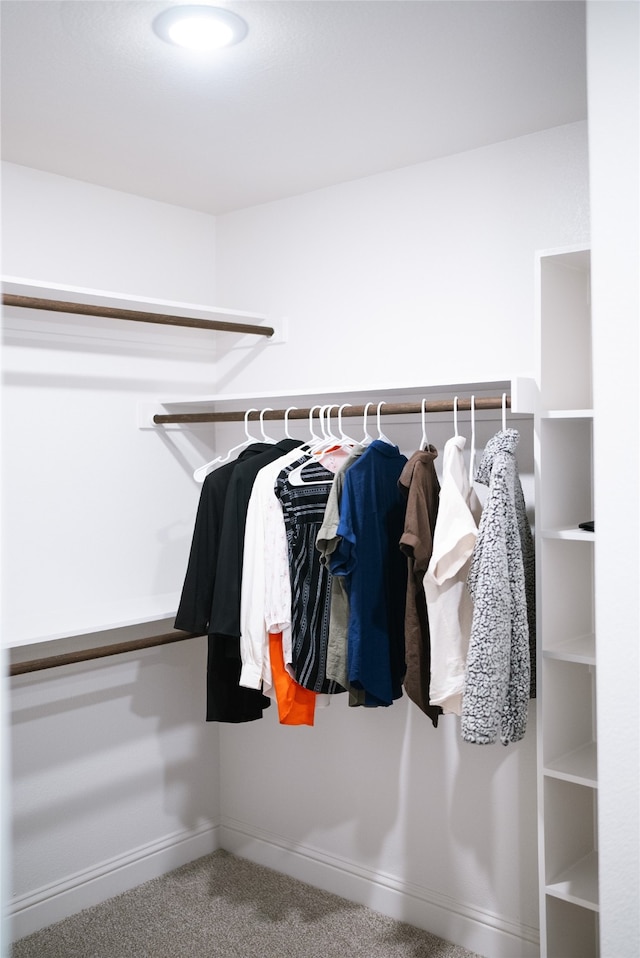 3919 Rose Hill Ct, Denison, TX 75020 - walk in closet with carpet flooring