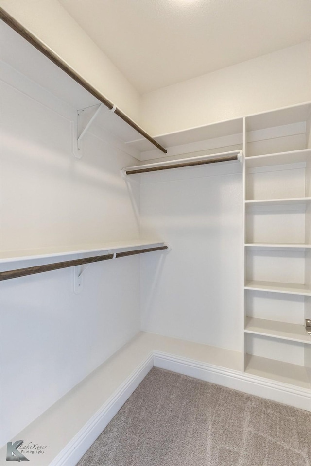 spacious closet with carpet floors