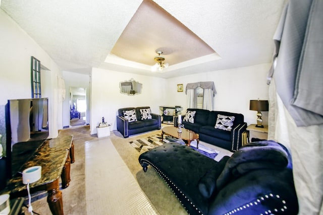 carpeted living area featuring a raised ceiling and a textured ceiling