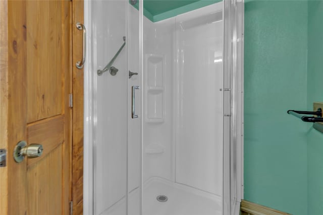 4403 Fm-205, Glen Rose, TX 76043 - bathroom with a stall shower