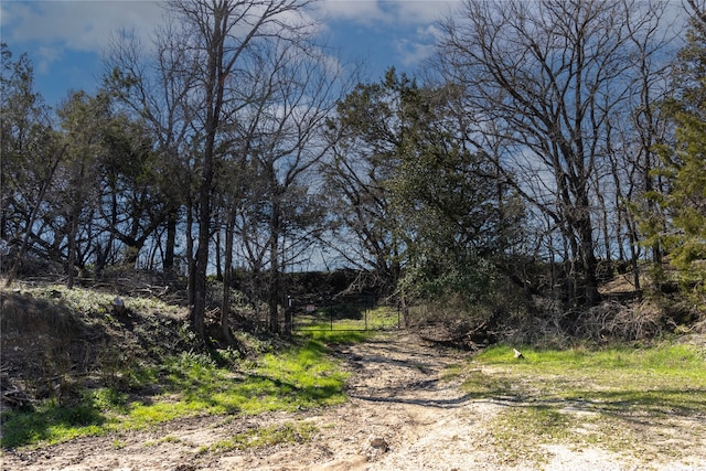 4403 Fm-205, Glen Rose, TX 76043 - view of road