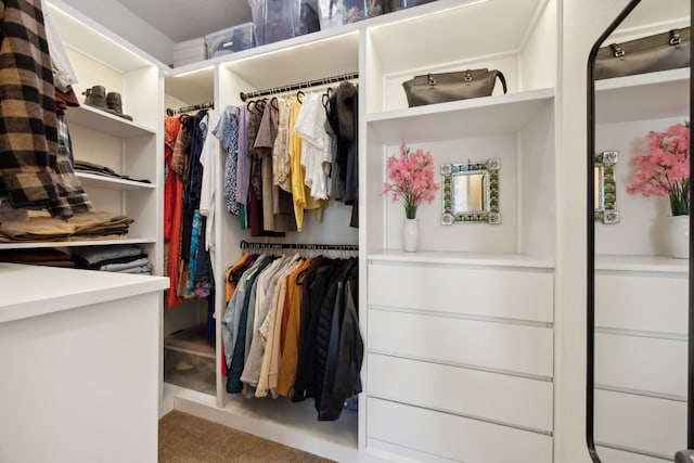 4435 Cicero St, Dallas, TX 75216 - walk in closet with carpet flooring