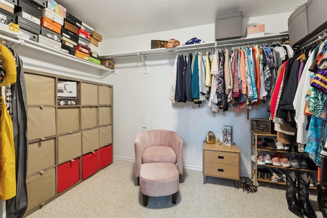 spacious closet with carpet floors