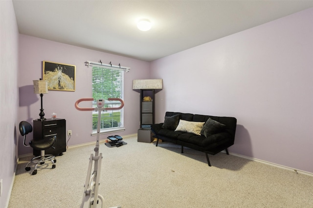 workout area featuring baseboards and carpet