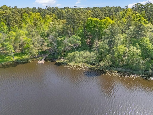 bird's eye view featuring a water view and a view of trees