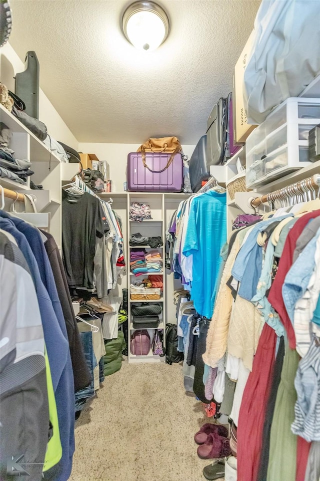 walk in closet featuring carpet flooring