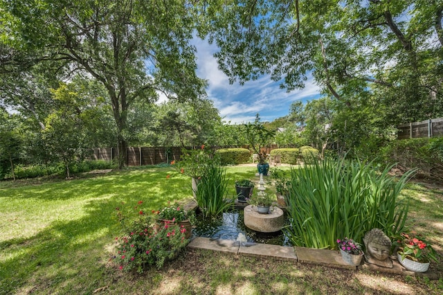 1580 Stemmons Ave, Dallas, TX 75208 - view of yard