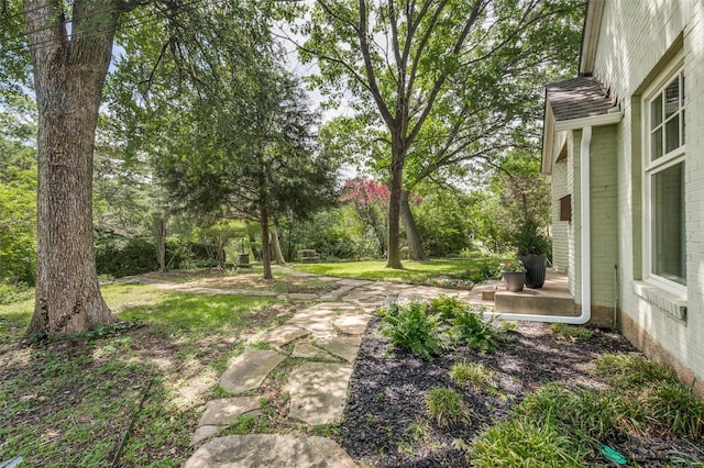 1580 Stemmons Ave, Dallas, TX 75208 - view of yard