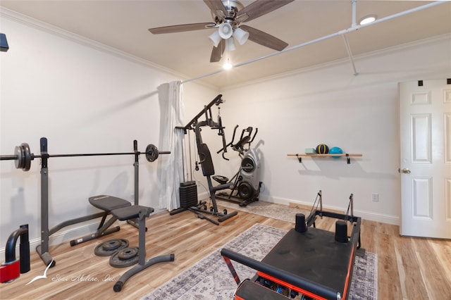 exercise area with baseboards, a ceiling fan, light wood finished floors, and crown molding
