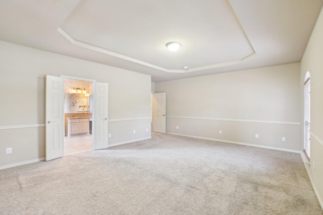 spare room featuring baseboards, a raised ceiling, and light carpet