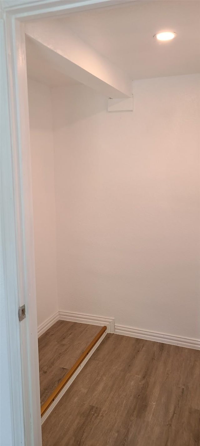 walk in closet featuring wood finished floors