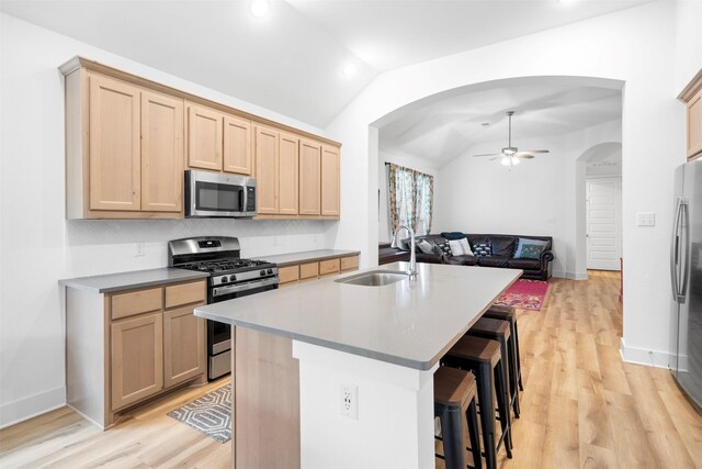 kitchen with lofted ceiling, a sink, stainless steel appliances, and light brown cabinets