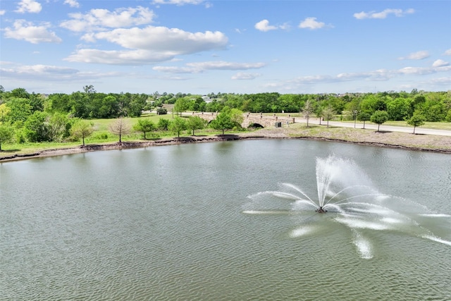 property view of water