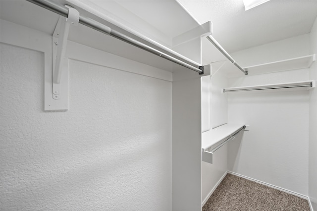 spacious closet with carpet floors