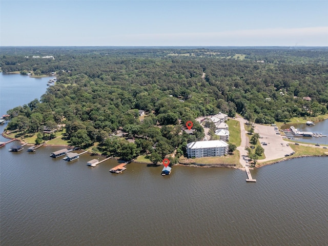 aerial view featuring a water view and a view of trees