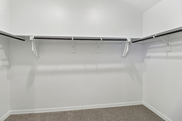 spacious closet with carpet flooring