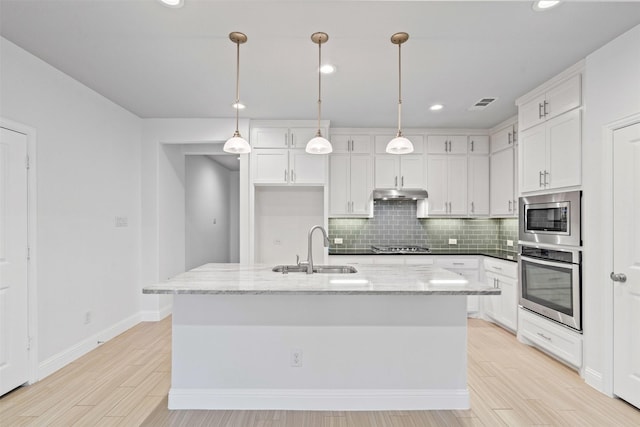 7416 San Jacinto Trl, Mckinney, TX 75071 - kitchen featuring stainless steel appliances, a sink, under cabinet range hood, tasteful backsplash, and white cabinets