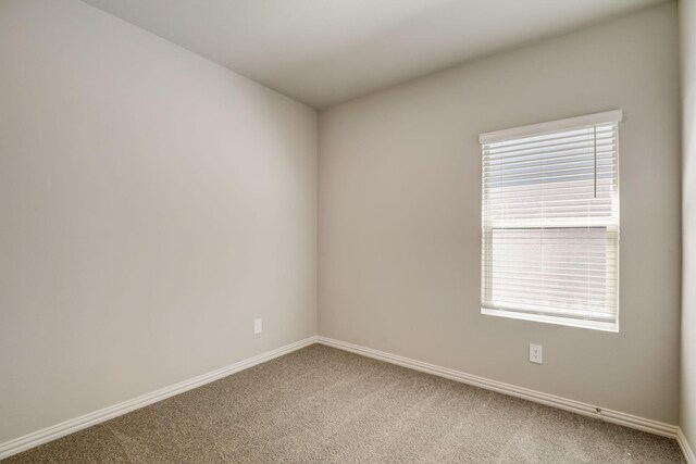 carpeted spare room featuring baseboards and a healthy amount of sunlight