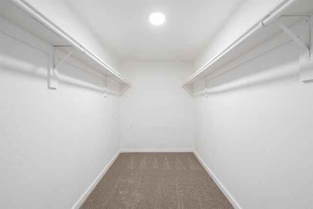 spacious closet with carpet