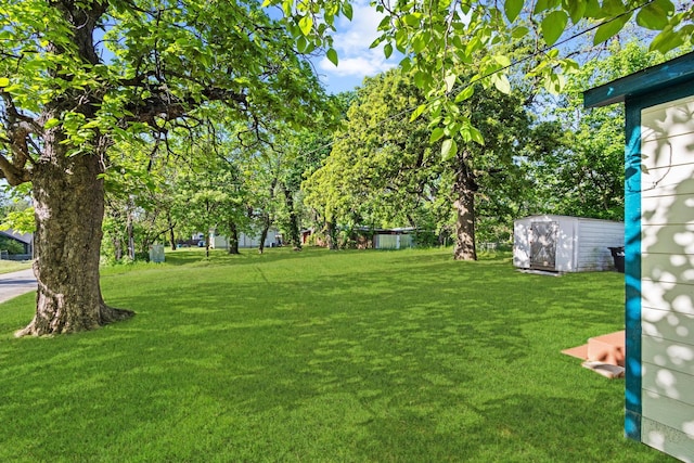 900 W Coffin St, Denison, TX 75020 - view of green lawn