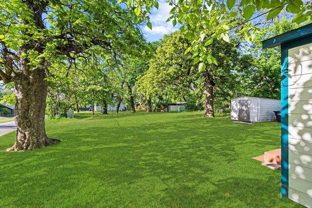 view of yard featuring a storage unit and an outbuilding