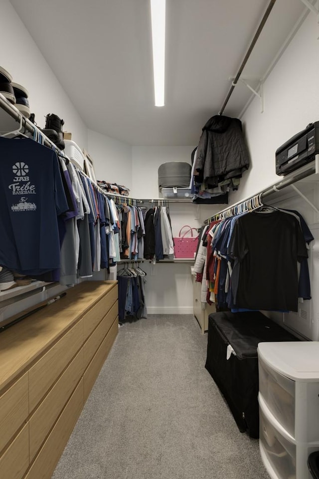 spacious closet featuring carpet