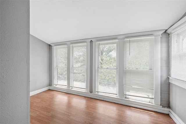 interior space with baseboards, wood finished floors, and a healthy amount of sunlight