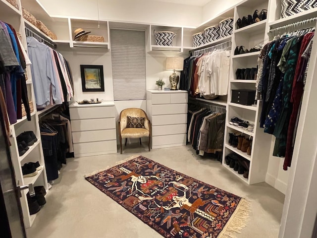 view of spacious closet
