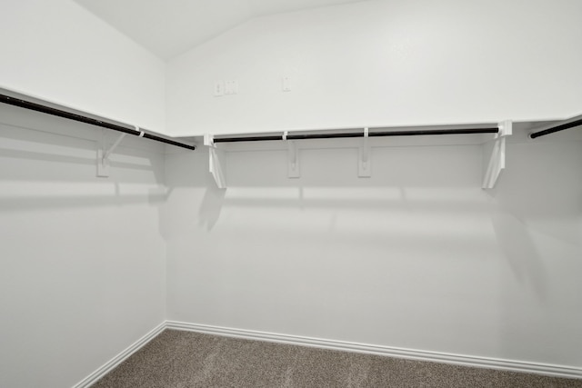 419 Bertney Dr, Princeton, TX 75071 - walk in closet with carpet and vaulted ceiling