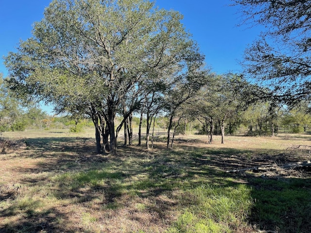 125 Rattling Antler Ct, Azle, TX 76020 - view of yard