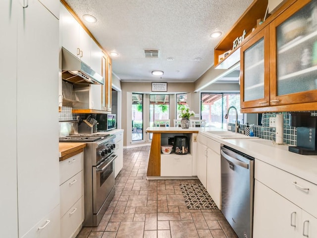 kitchen featuring stainless steel appliances, under cabinet range hood, backsplash, a sink, and visible vents