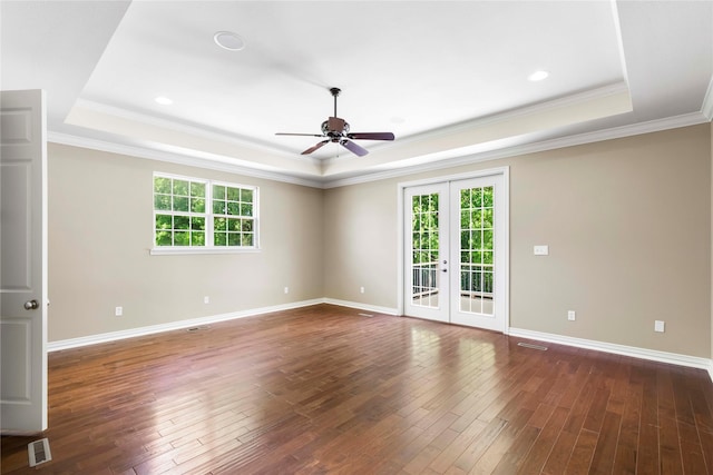 unfurnished room with a raised ceiling, ceiling fan, and plenty of natural light