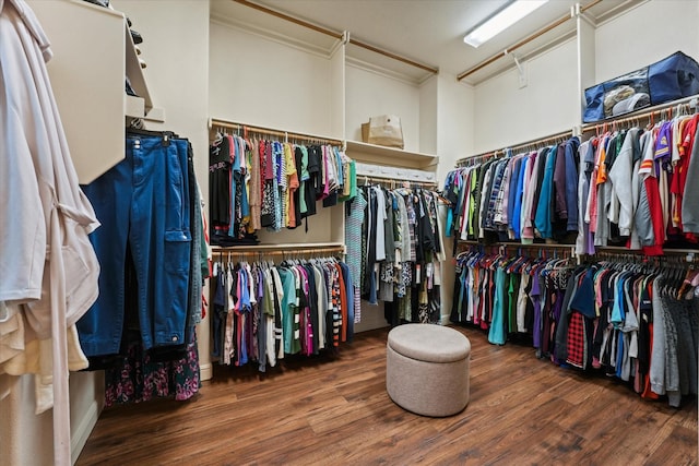 8405 Moore St, Frisco, TX 75034 - spacious closet featuring wood finished floors