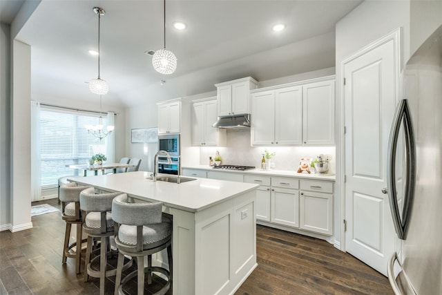 kitchen with dark wood finished floors, stainless steel appliances, under cabinet range hood, a sink, and a center island with sink
