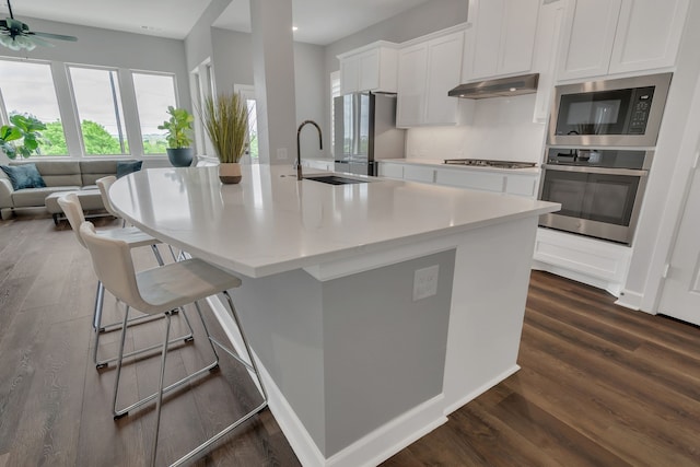 14316 Capridge Rd, Fort Worth, TX 76008 - kitchen with appliances with stainless steel finishes, under cabinet range hood, a sink, a kitchen island with sink, and white cabinets