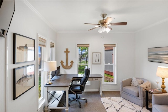 office featuring ceiling fan, baseboards, ornamental molding, and carpet floors