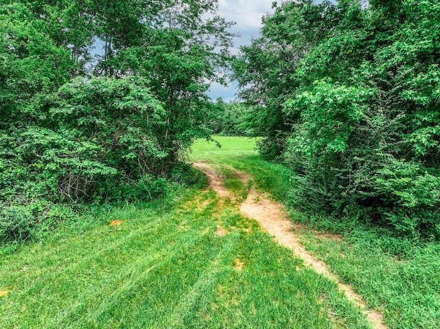 3732 US Highway 84, Palestine, TX 75801