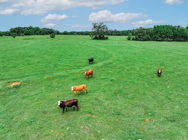3732 US Highway 84, Palestine, TX 75801