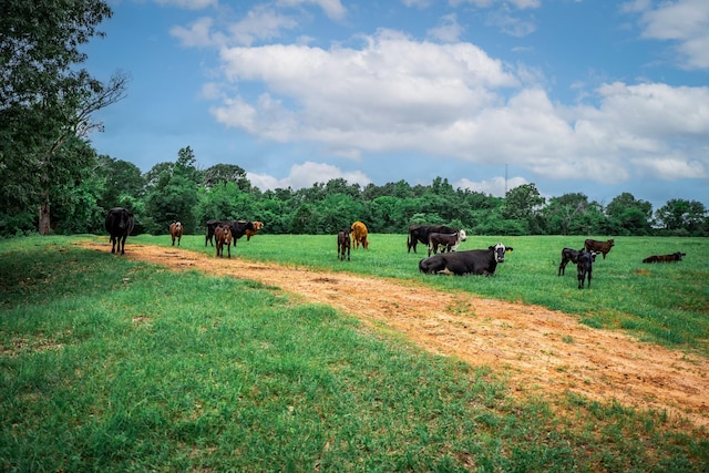3732 US Highway 84, Palestine, TX 75801
