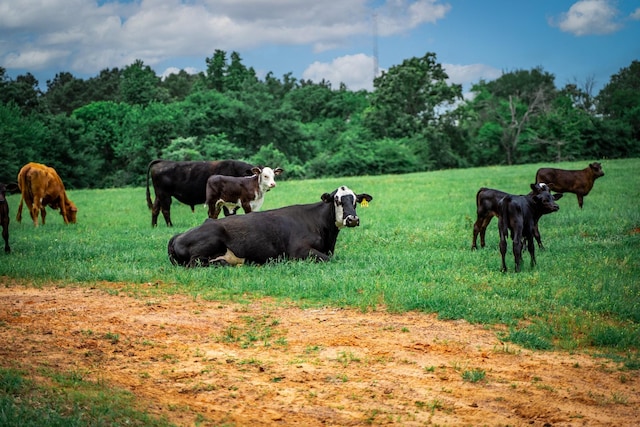 3732 US Highway 84, Palestine, TX 75801